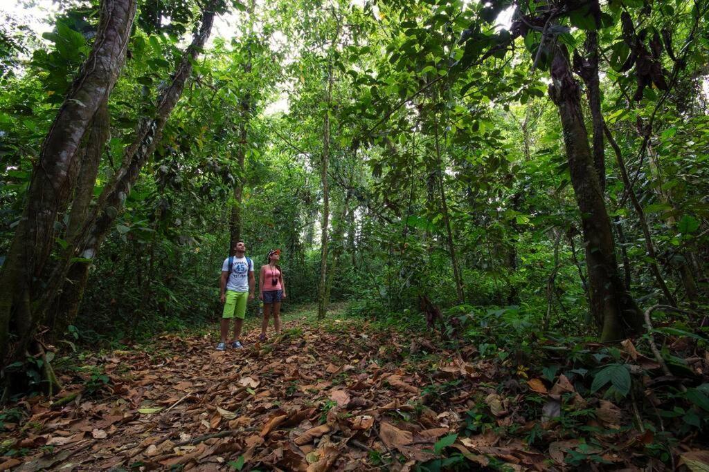 Arenal Ginger Home La Fortuna Екстериор снимка