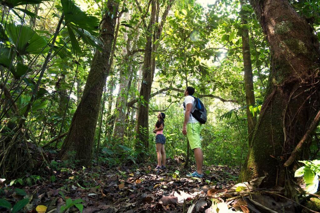 Arenal Ginger Home La Fortuna Екстериор снимка