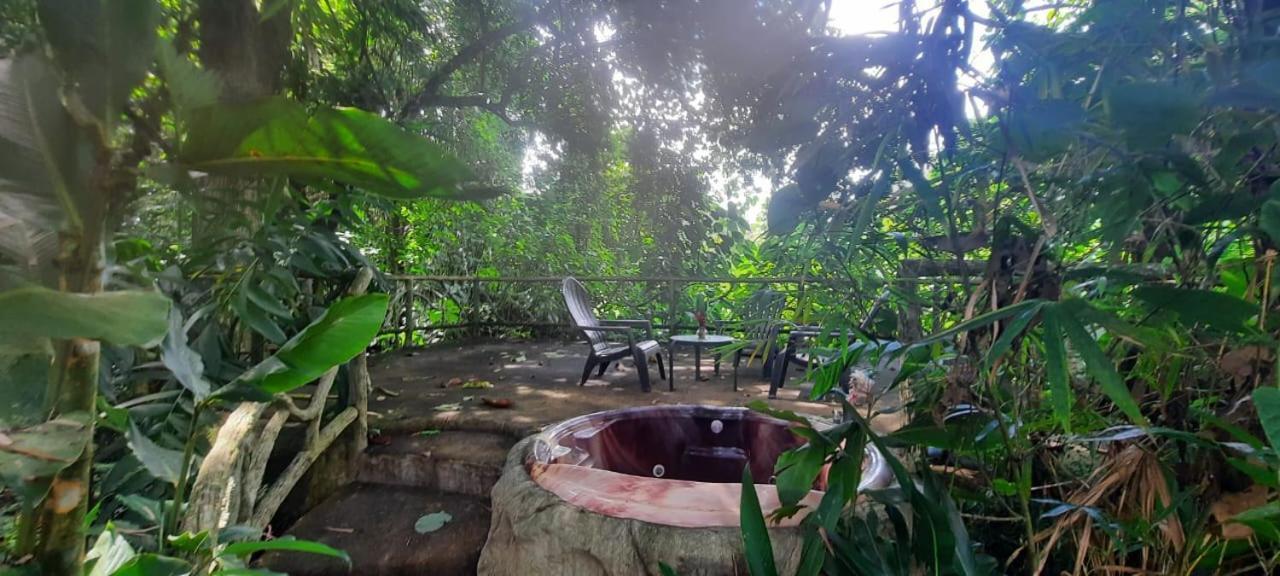 Arenal Ginger Home La Fortuna Екстериор снимка